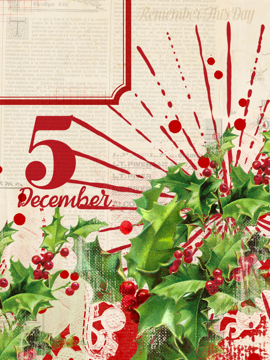 3x4 free project life december daily printable