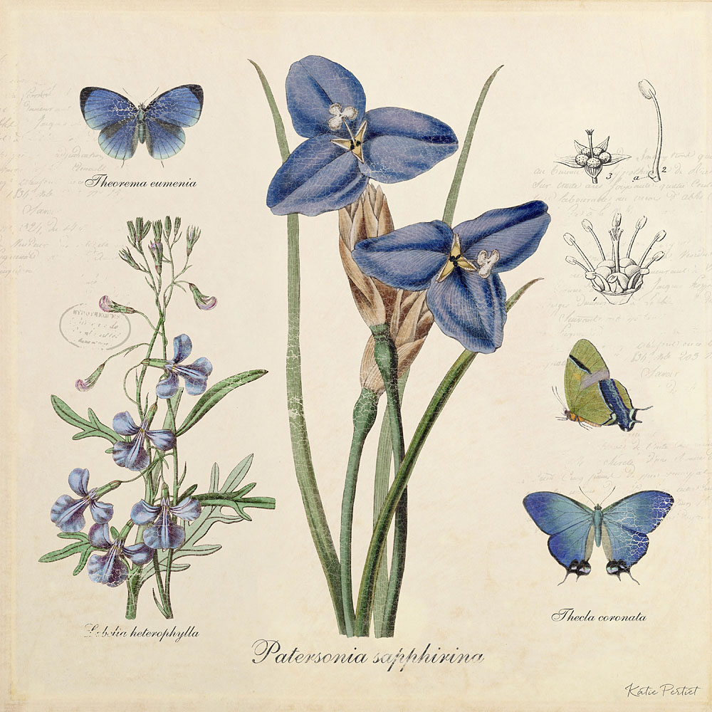 Katie pertiet Classic Blue Botanicals