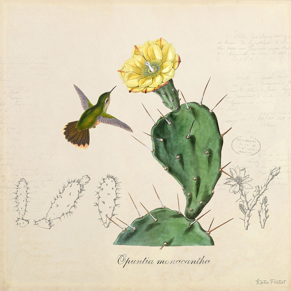 Katie Pertiet Classic Vintage Botanical Cactus