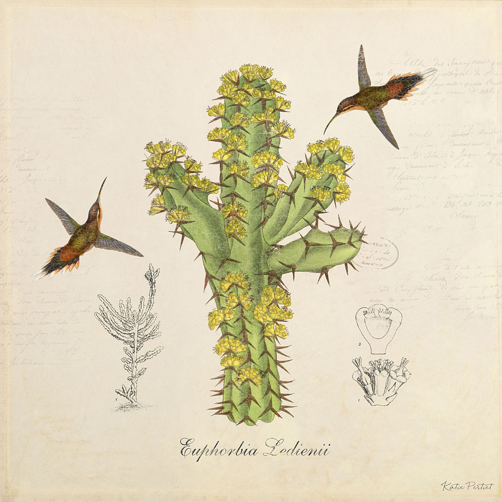 Katie Pertiet Classic Vintage Botanical Cactus