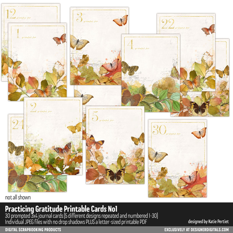 Practicing Gratitude 3x4 Pocket Cards