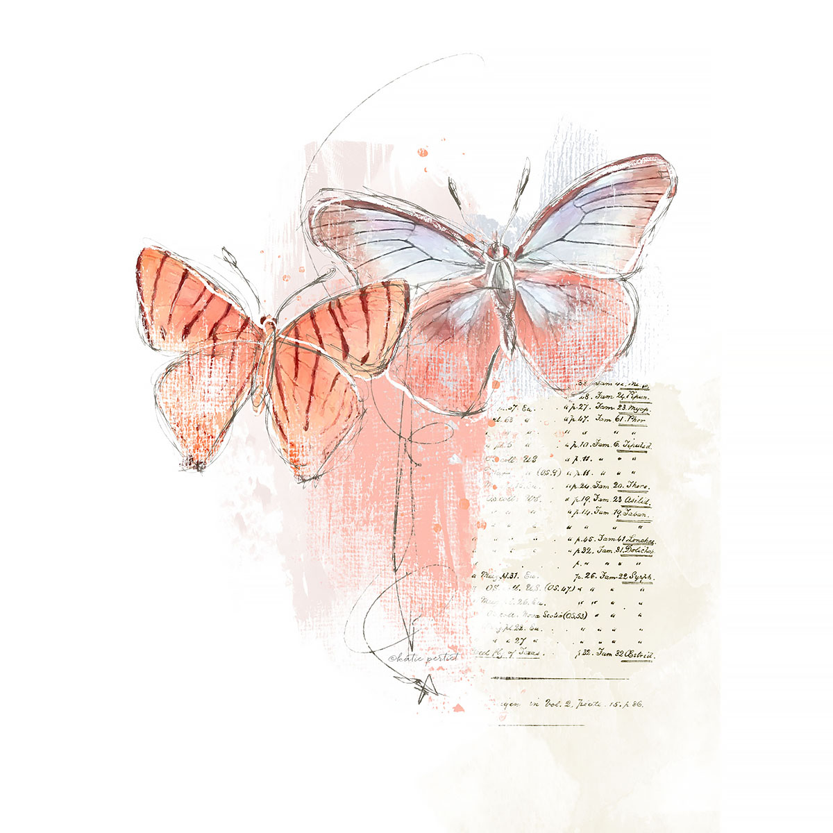 Katie Pertiet Painted Butterflies