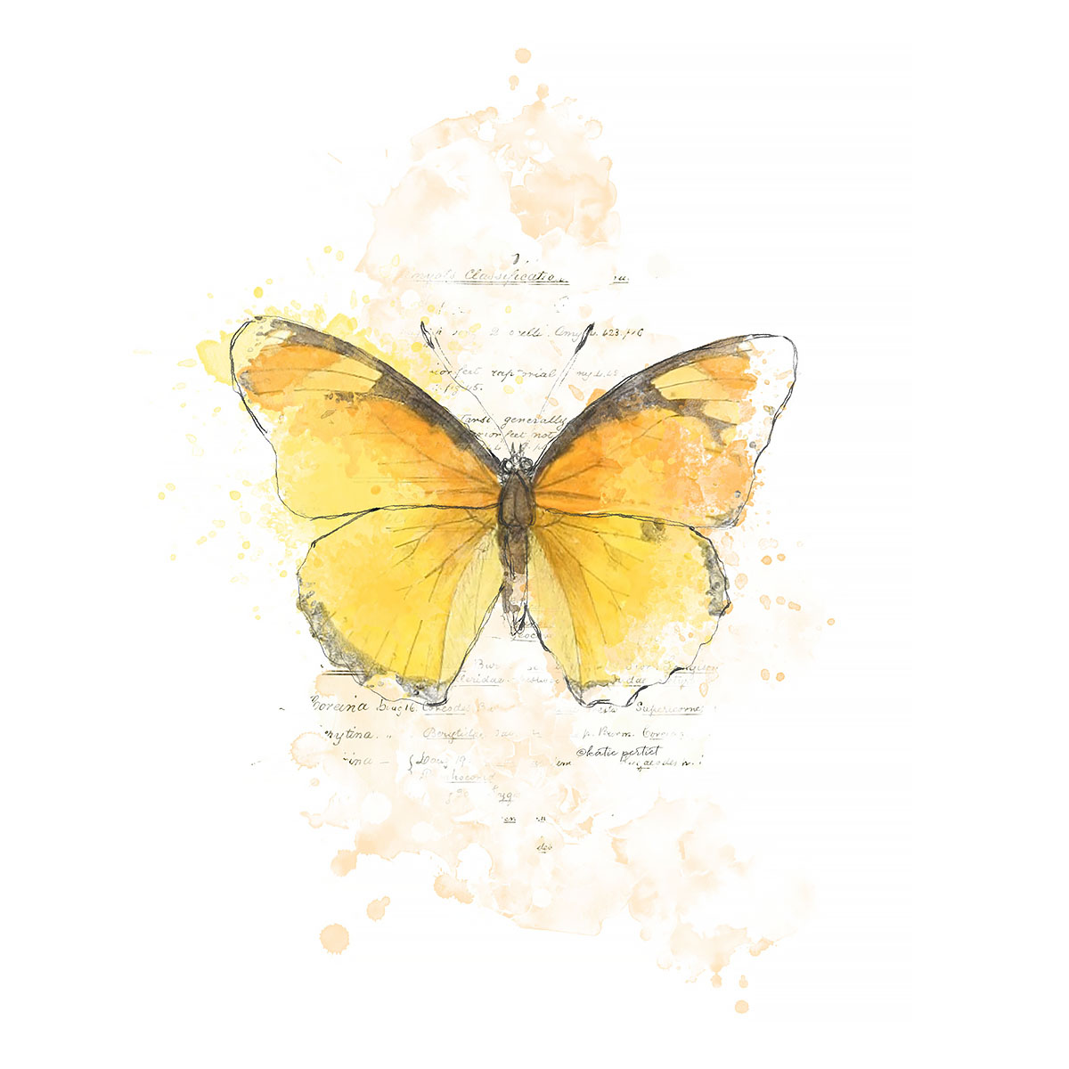 Katie Pertiet Painted Butterfly